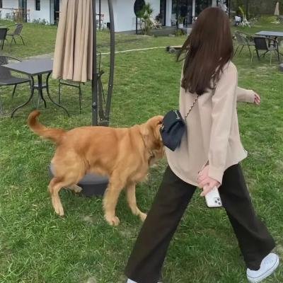 生化战士：电脑动画电影